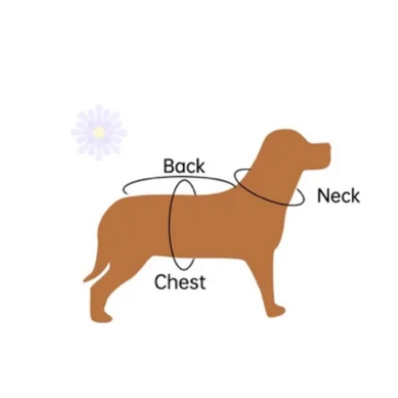 Blue Floral Halter Ribbon Bow Dog Pet Party Fancy Dress Size Large - Picture 8 of 8